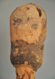 Unicat! & zeldzaam. Kop van de Pende, DR Congo, 1900-1920