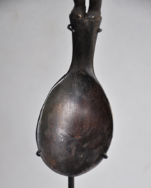 Ceremoniële hoornen lepel - SUMBA - Indonesië - 21e eeuw