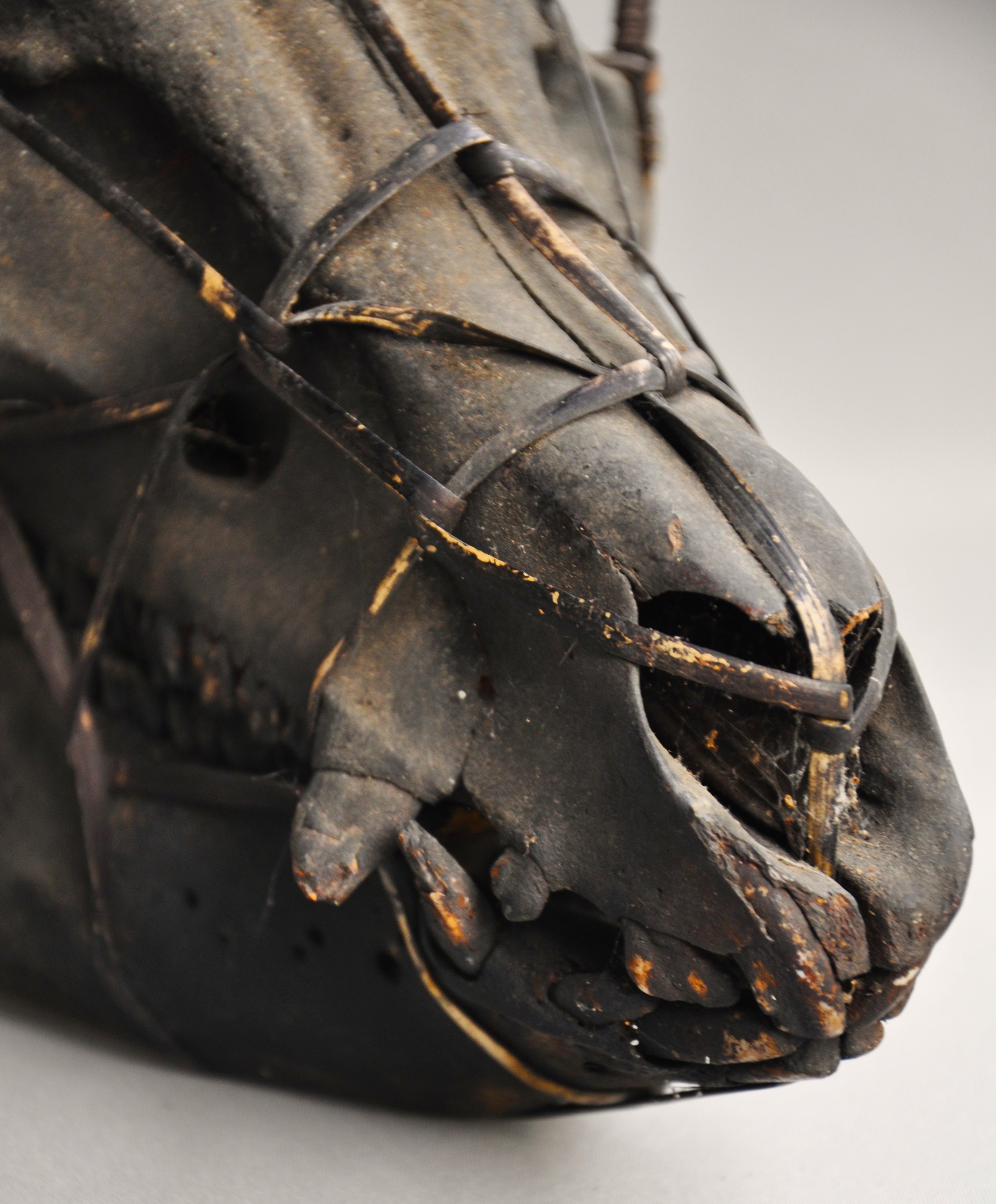 Large tribal pig skull, IFUGAO, Luzon, Philippines
