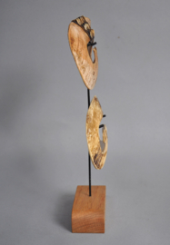 Dubbele BiPane, neusornament, ASMAT, Papoea Nieuw Guinea