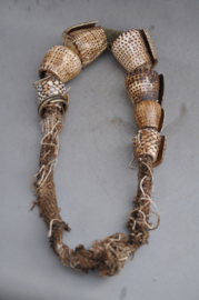 Akusan, shell belt vd BONTOC, Luzon, Philippines, 2nd half of the 20th century (no 2)