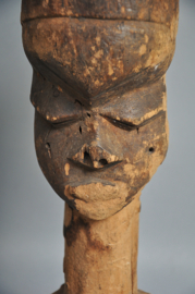 Unicat! & zeldzaam. Kop van de Pende, DR Congo, 1900-1920