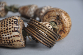 Large Akusan shell belt from the Bontoc, Igorot, Philippines, 21st century