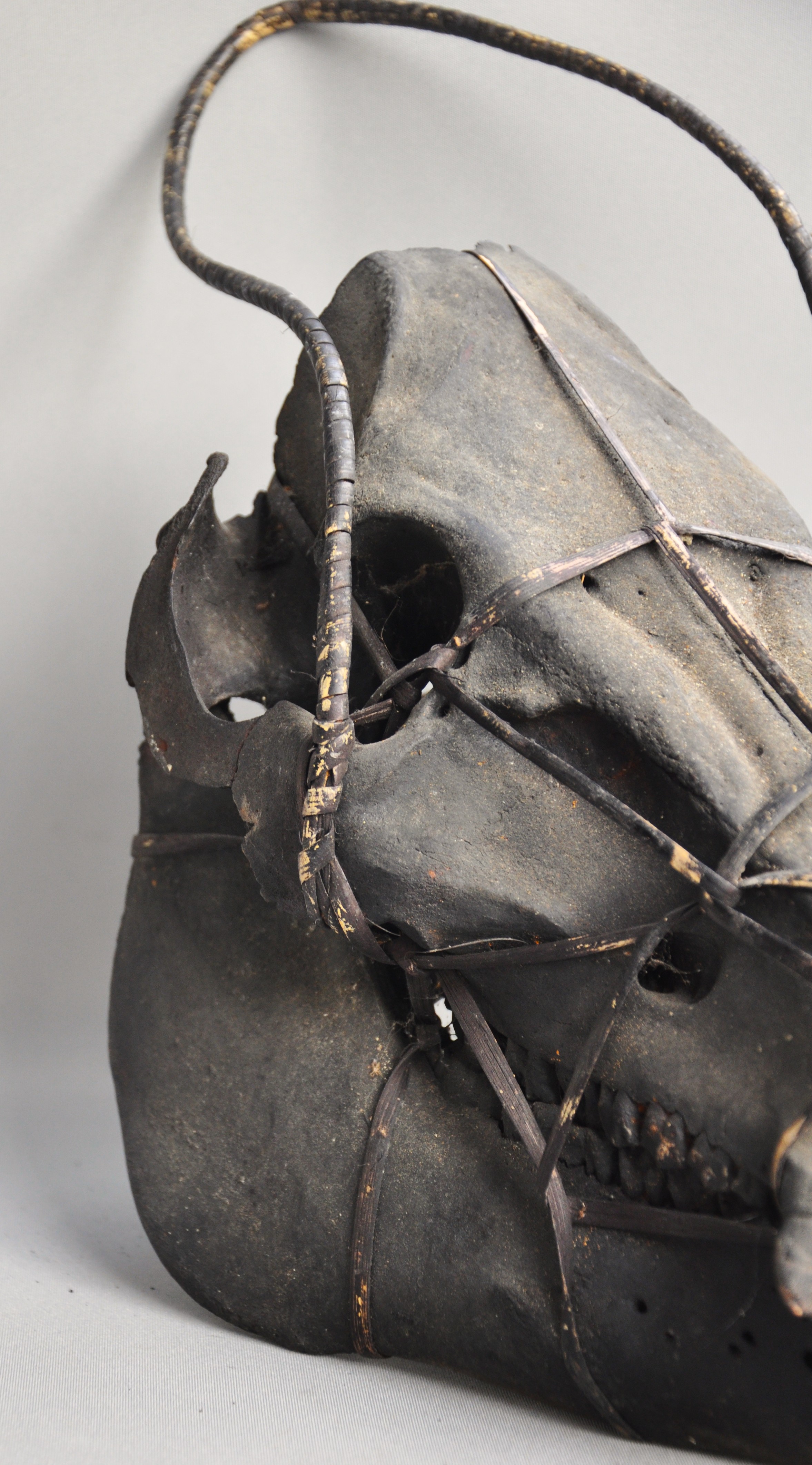Large tribal pig skull, IFUGAO, Luzon, Philippines