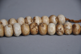 Tibetan necklace of fossil shell beads, Nepal, 2nd half of the 20th century