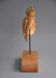 BiPane, nose ornament, ASMAT, Papua New Guinea