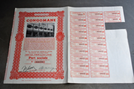 Aandeel uit de Congo "CONGOMANE", met coupons ( code 2)