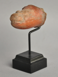 Colima, fragment of a pot, 8th century AC.  Mexico