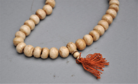 Monumentale Tibetaanse Mala – Fossiele Schelp 108 kraals