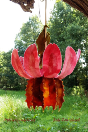 rode zonnehoed lampje