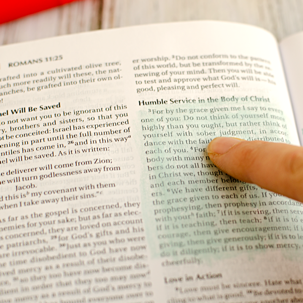 Bible Journaling - Faber Castell Gelatos.png