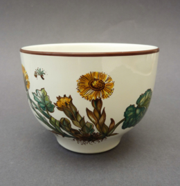 Villeroy Boch Botanica Chinese theekom Tussilago 