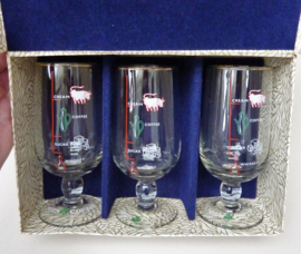 Mid Century Portland Glass Irish Coffee glazen set