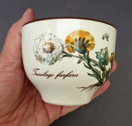 Villeroy Boch Botanica Chinese theekom Tussilago 