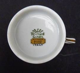 Richard Ginori Pittoria demitasse espresso kopje