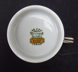 Richard Ginori Pittoria demitasse espresso cup with saucer