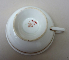 Paragon early star hand painted tea cup with saucer