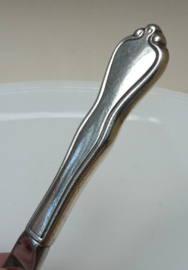 Verzilverd botermes