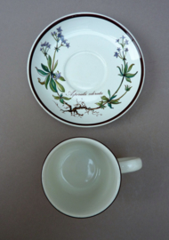 Villeroy Boch Botanica demitasse kop en schotel Chelidonium en Asperula