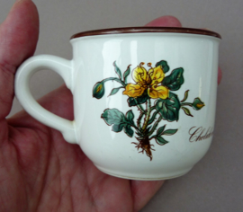 Villeroy Boch Botanica demitasse kop en schotel Chelidonium en Asperula