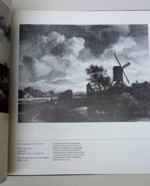 Jacob van Ruisdael Mauritshuis Den Haag