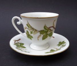 Tirschenreuth Weinlaub Vine porcelain teacup with saucer