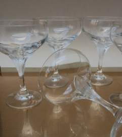Schott Zwiesel La Fleur kristallen champagne coupes