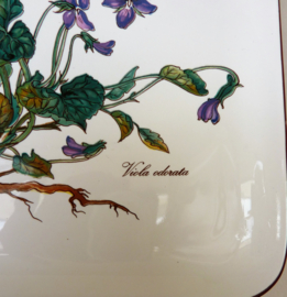 Villeroy Boch Botanica sandwich serving dish Viola Odorata