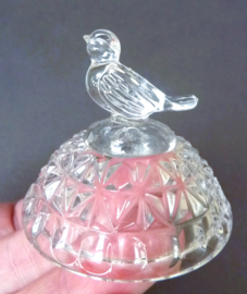 Hofbauer Byrdes crystal lidded box