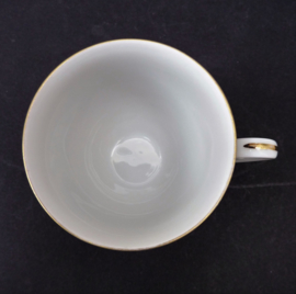 Tirschenreuth Weinlaub Vine porcelain teacup with saucer