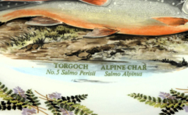 Portmeirion The complete Angler Fern ovale ovenschaal