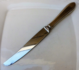 Sola Puntfilet edelstalen dessertmes