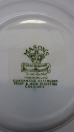 Mason's Fruit Basket Green deep dinner plate