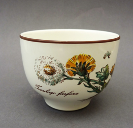 Villeroy Boch Botanica Chinese theekom Tussilago 