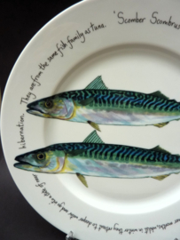 Richard Bramble porcelain fish plate Mackerel