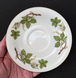 Tirschenreuth Weinlaub Vine porcelain teacup with saucer