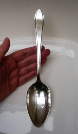 Gero G-Z - "Point filet" - vegetable spoon