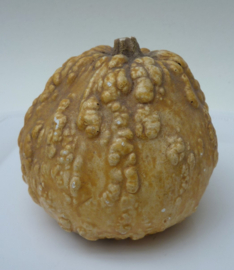 Decoratieve keramische pompoen