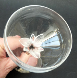 Schott Zwiesel La Fleur kristallen champagne coupes