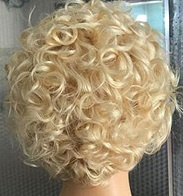 Lace Front Wig