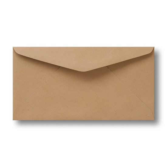 Enveloppen Kraftpapier (11 x 22 cm)