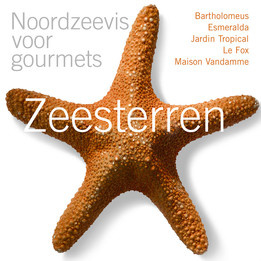 Zeesterren - Noordzeevis voor gourmets