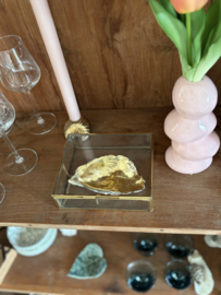 Blad gouden oester in messing kistje