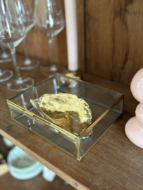 Blad gouden oester in messing kistje