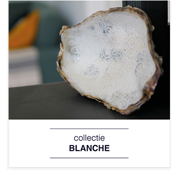 Home Zeeuws Blauw