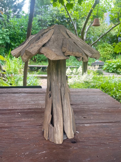 Paddestoel wood