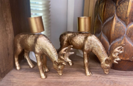 Kandelaar hert goud