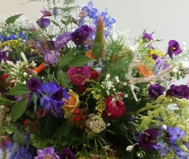 Veldbloemen
