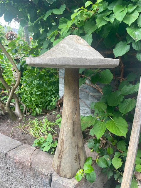 Houten paddestoel