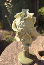 Bloemenflesjes op pot